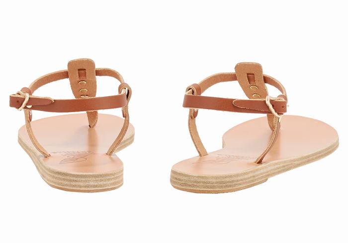 Sandales Bride Arrière Ancient Greek Sandals Lito Bee   | ETI-5445901